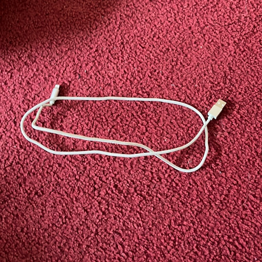 Apple Charger